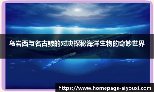爱游戏AYX