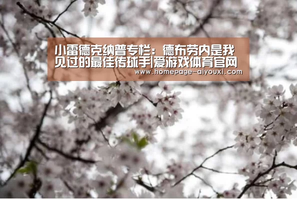 爱游戏app